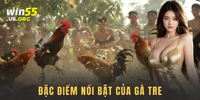 Đặc điểm nổi bật của gà tre
